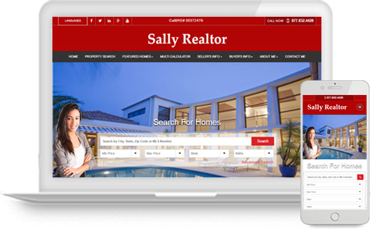 Real Estate Agent Website Idx Solutions